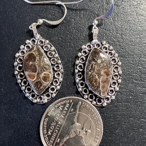 Elimia Turitella Agate Crystal Stone Jewelry Earrings - Picture 5 of 5